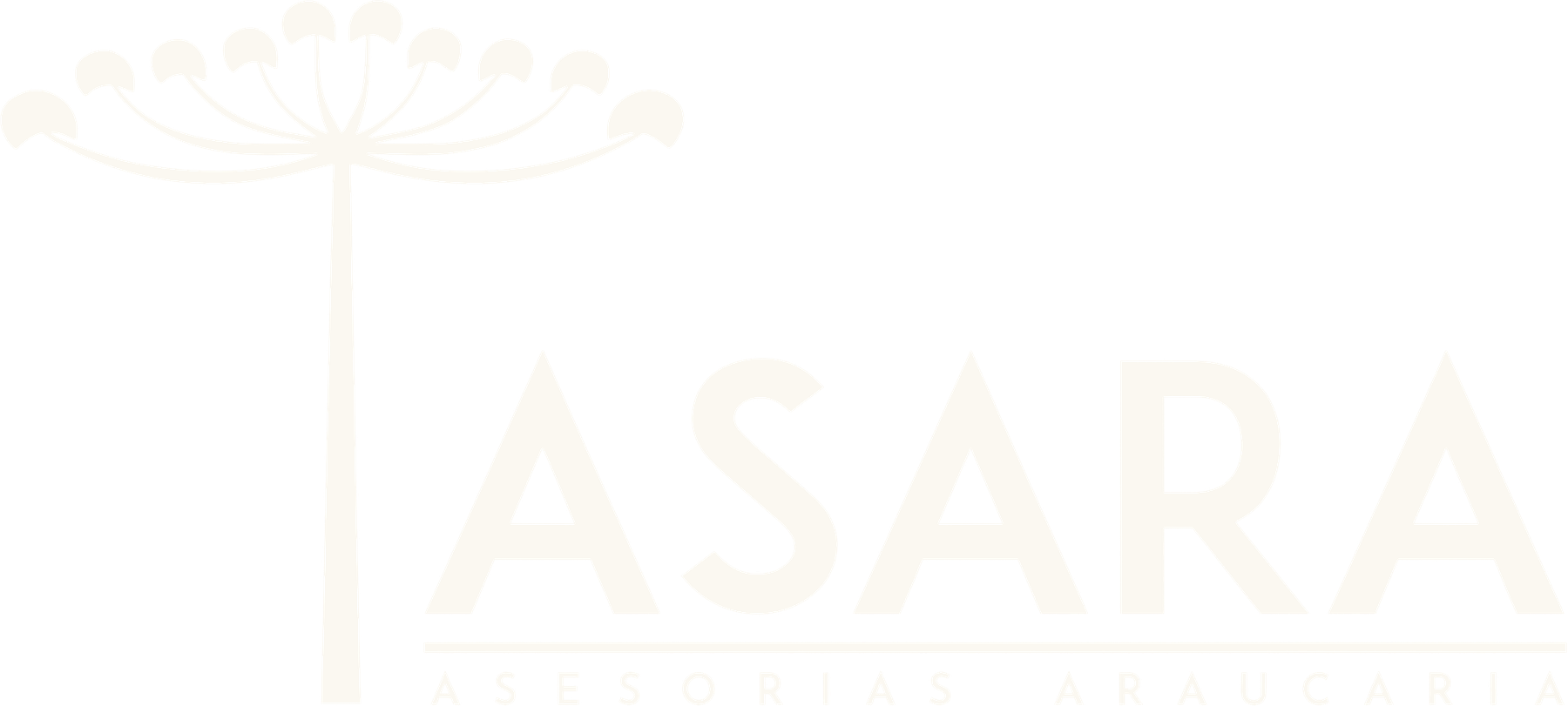 Asesorías Araucaria